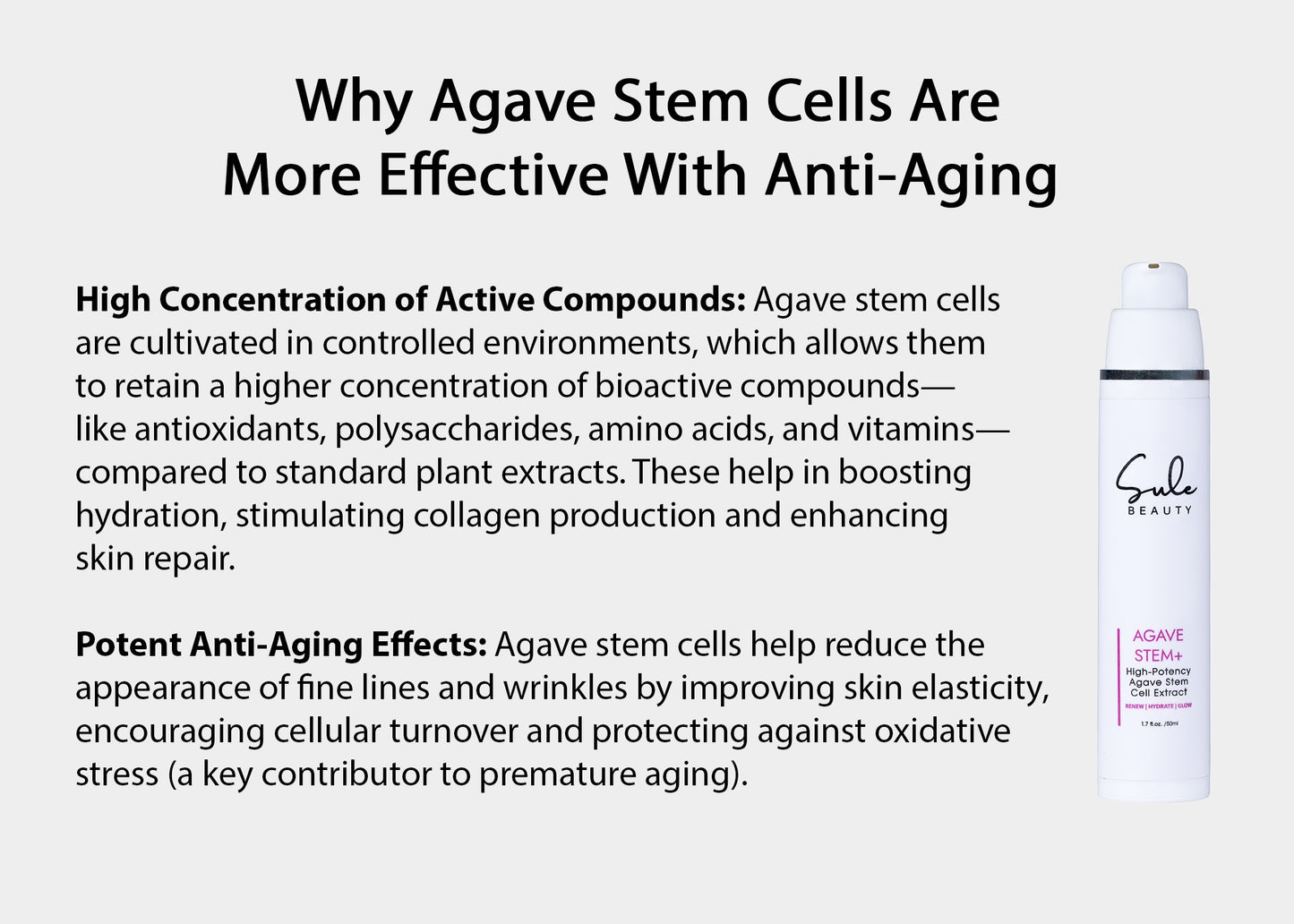 AGAVE STEM +