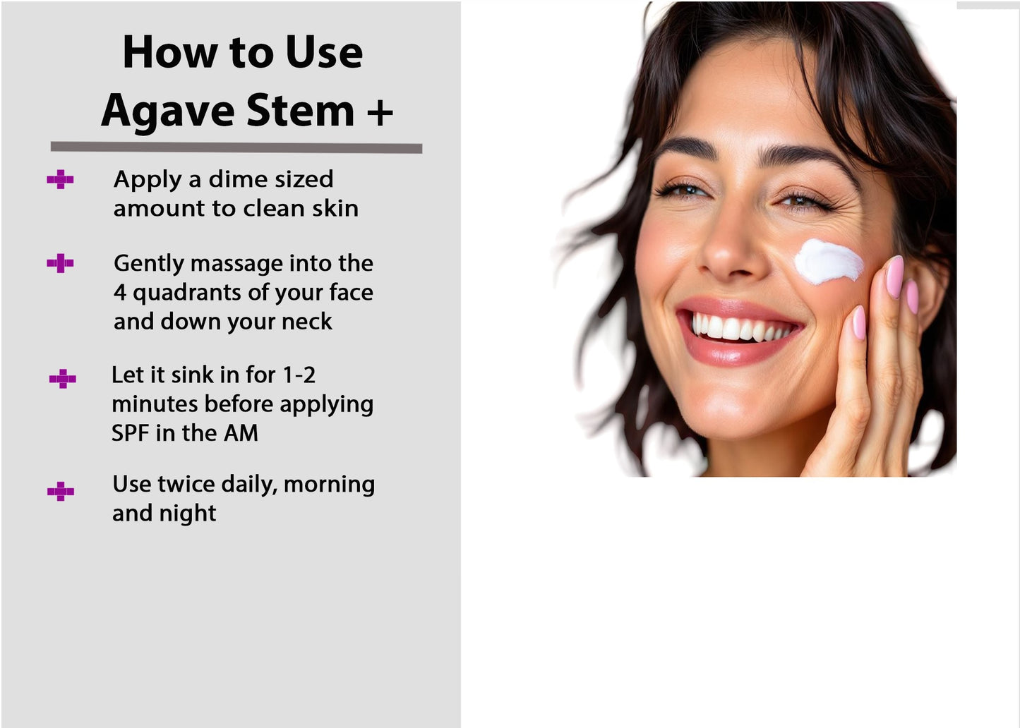 AGAVE STEM +