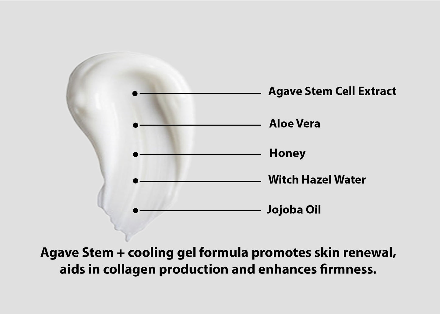 AGAVE STEM +