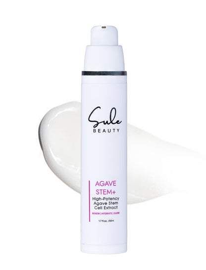 AGAVE STEM +