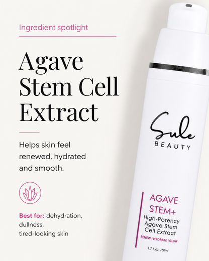 Agave Stem+